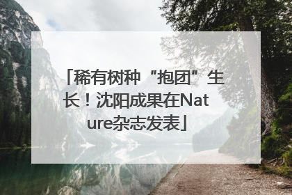 稀有树种“抱团”生长！沈阳成果在Nature杂志发表