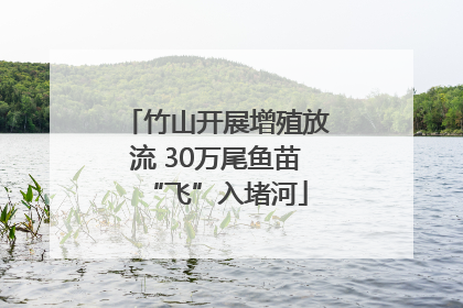 竹山开展增殖放流 30万尾鱼苗“飞”入堵河