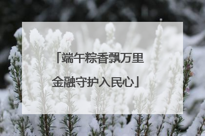 端午粽香飘万里 金融守护入民心