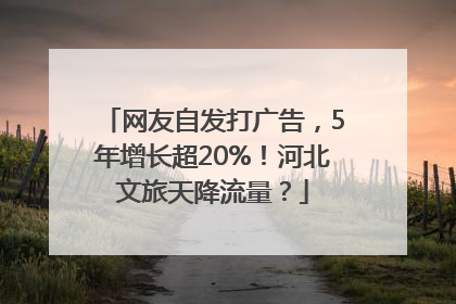 网友自发打广告，5年增长超20%！河北文旅天降流量？