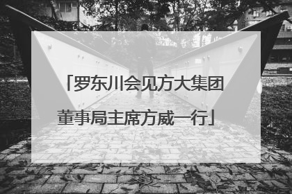 罗东川会见方大集团董事局主席方威一行