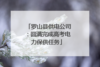罗山县供电公司：圆满完成高考电力保供任务