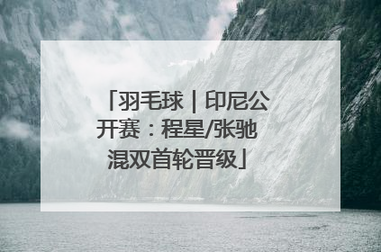 羽毛球｜印尼公开赛：程星/张驰混双首轮晋级