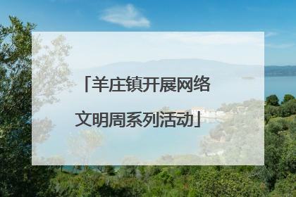 羊庄镇开展网络文明周系列活动