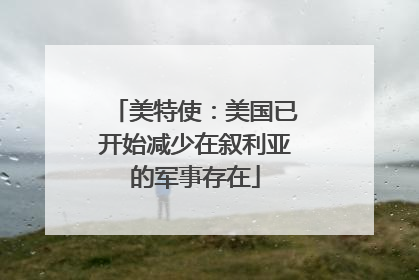 美特使：美国已开始减少在叙利亚的军事存在