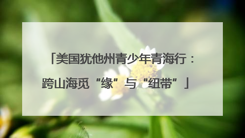美国犹他州青少年青海行：跨山海觅“缘”与“纽带”
