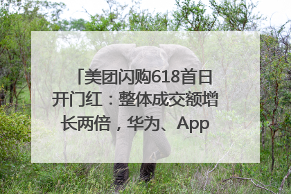 美团闪购618首日开门红：整体成交额增长两倍，华为、Apple、沃尔玛等近800个品牌翻倍增长