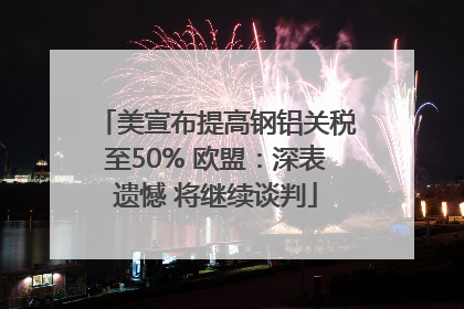 美宣布提高钢铝关税至50% 欧盟：深表遗憾 将继续谈判