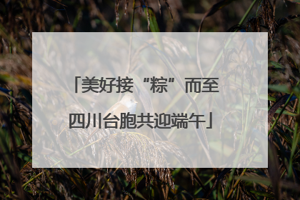 美好接“粽”而至 四川台胞共迎端午