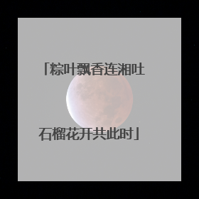 粽叶飘香连湘吐 石榴花开共此时