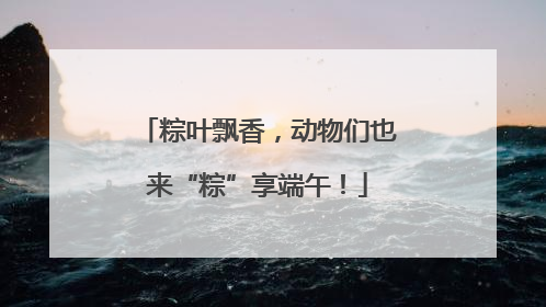 粽叶飘香，动物们也来“粽”享端午！