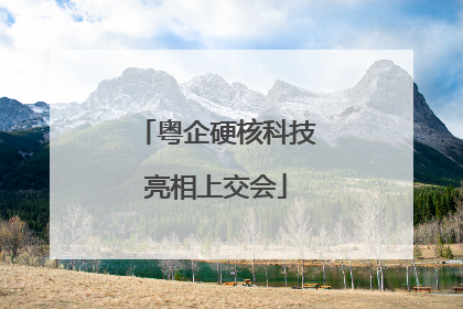 粤企硬核科技亮相上交会