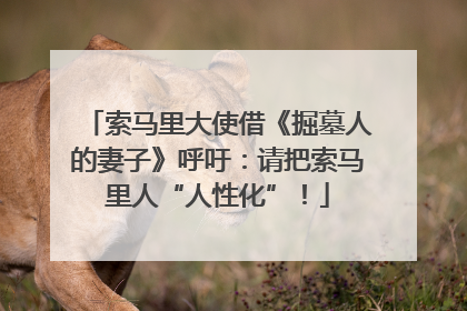 索马里大使借《掘墓人的妻子》呼吁：请把索马里人“人性化”！