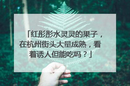 红彤彤水灵灵的果子，在杭州街头大量成熟，看着诱人但能吃吗？