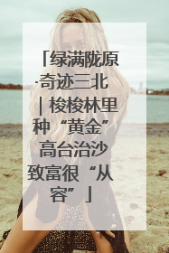 绿满陇原·奇迹三北｜梭梭林里种“黄金” 高台治沙致富很“从容”