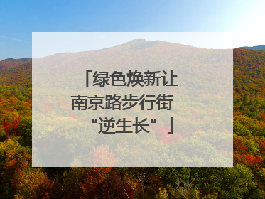 绿色焕新让南京路步行街“逆生长”