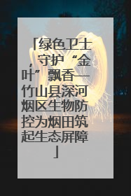 绿色卫士，守护“金叶”飘香—竹山县深河烟区生物防控为烟田筑起生态屏障
