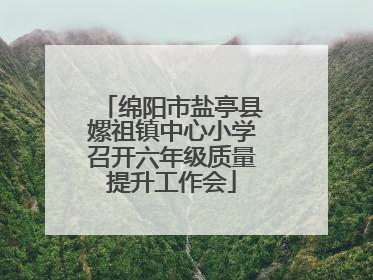 绵阳市盐亭县嫘祖镇中心小学召开六年级质量提升工作会