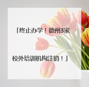 终止办学！德州3家校外培训机构注销！