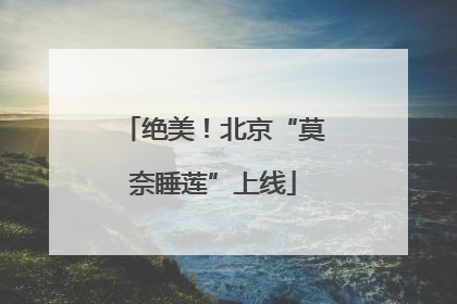 绝美！北京“莫奈睡莲”上线