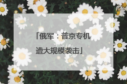 俄军：普京专机遭大规模袭击
