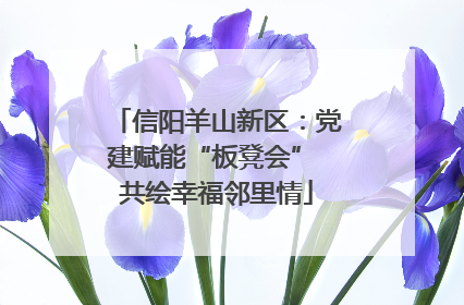 信阳羊山新区：党建赋能“板凳会” 共绘幸福邻里情
