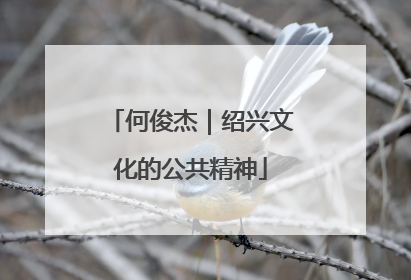 何俊杰｜绍兴文化的公共精神