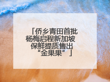 侨乡青田首批杨梅启程新加坡 保鲜提质售出“金果果”