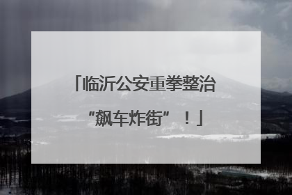临沂公安重拳整治“飙车炸街”！