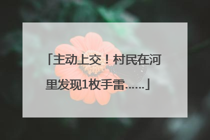 主动上交！村民在河里发现1枚手雷……