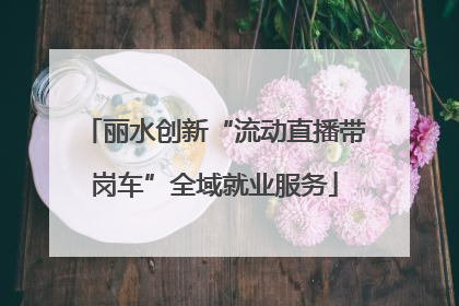 丽水创新“流动直播带岗车”全域就业服务