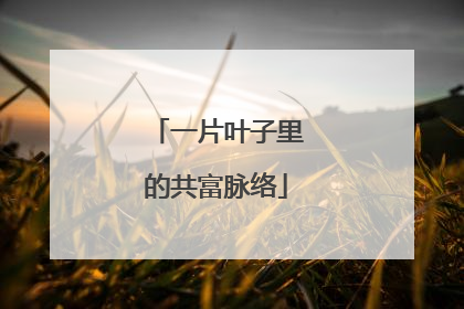 一片叶子里的共富脉络