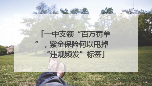 一中支领“百万罚单”，紫金保险何以甩掉“违规频发”标签