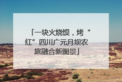 一块火烧馍，烤“红”四川广元月坝农旅融合新图景
