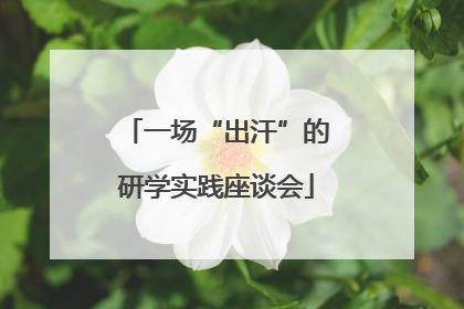 一场“出汗”的研学实践座谈会