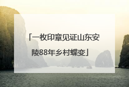 一枚印章见证山东安陵88年乡村蝶变
