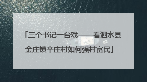 三个书记一台戏——看泗水县金庄镇辛庄村如何强村富民