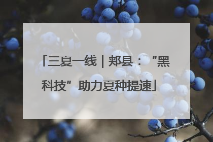 三夏一线｜郏县：“黑科技”助力夏种提速