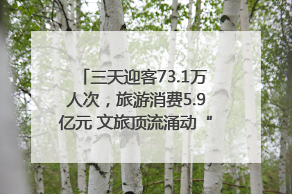 三天迎客73.1万人次，旅游消费5.9亿元 文旅顶流涌动“江宁style”