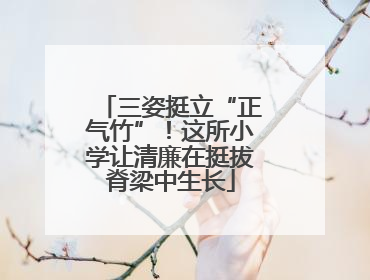 三姿挺立“正气竹”！这所小学让清廉在挺拔脊梁中生长