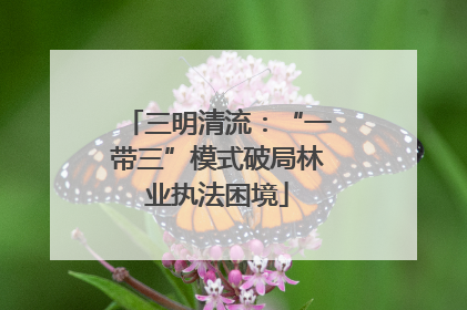 三明清流：“一带三”模式破局林业执法困境