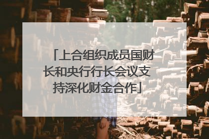上合组织成员国财长和央行行长会议支持深化财金合作