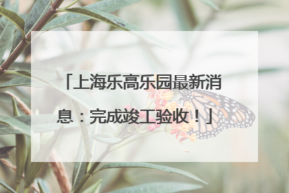 上海乐高乐园最新消息：完成竣工验收！