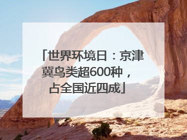 世界环境日：京津冀鸟类超600种，占全国近四成