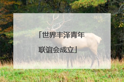 世界丰泽青年联谊会成立