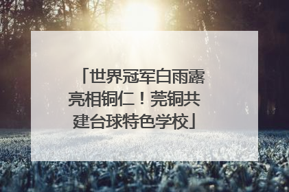 世界冠军白雨露亮相铜仁！莞铜共建台球特色学校
