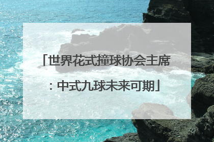 世界花式撞球协会主席：中式九球未来可期