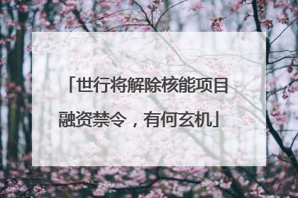 世行将解除核能项目融资禁令，有何玄机