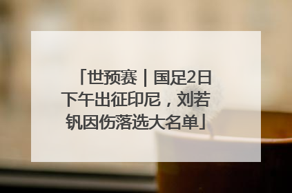 世预赛｜国足2日下午出征印尼，刘若钒因伤落选大名单