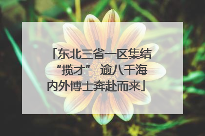 东北三省一区集结“揽才” 逾八千海内外博士奔赴而来